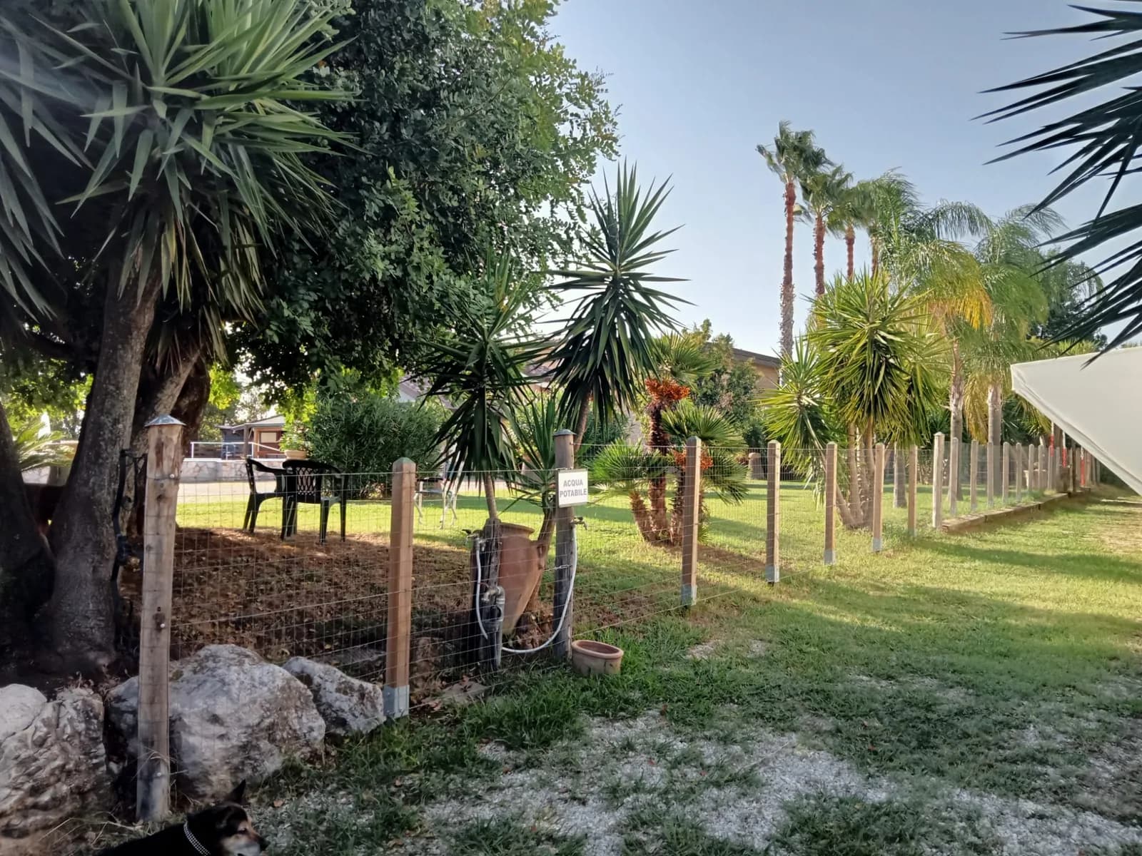 Area verde del circolo con alberi, palme e prato accanto alla tensostruttura